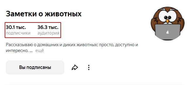 Количество подписчиков и аудитории канала
